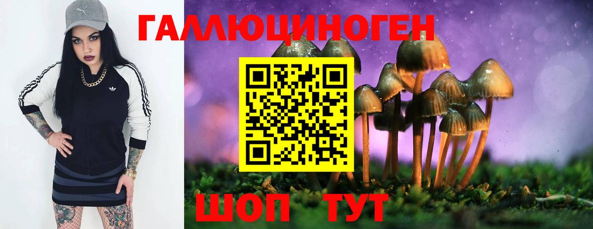Галлюциногенные грибы GOLDEN TEACHER  купить закладку  Саянск  Вход с VPN 